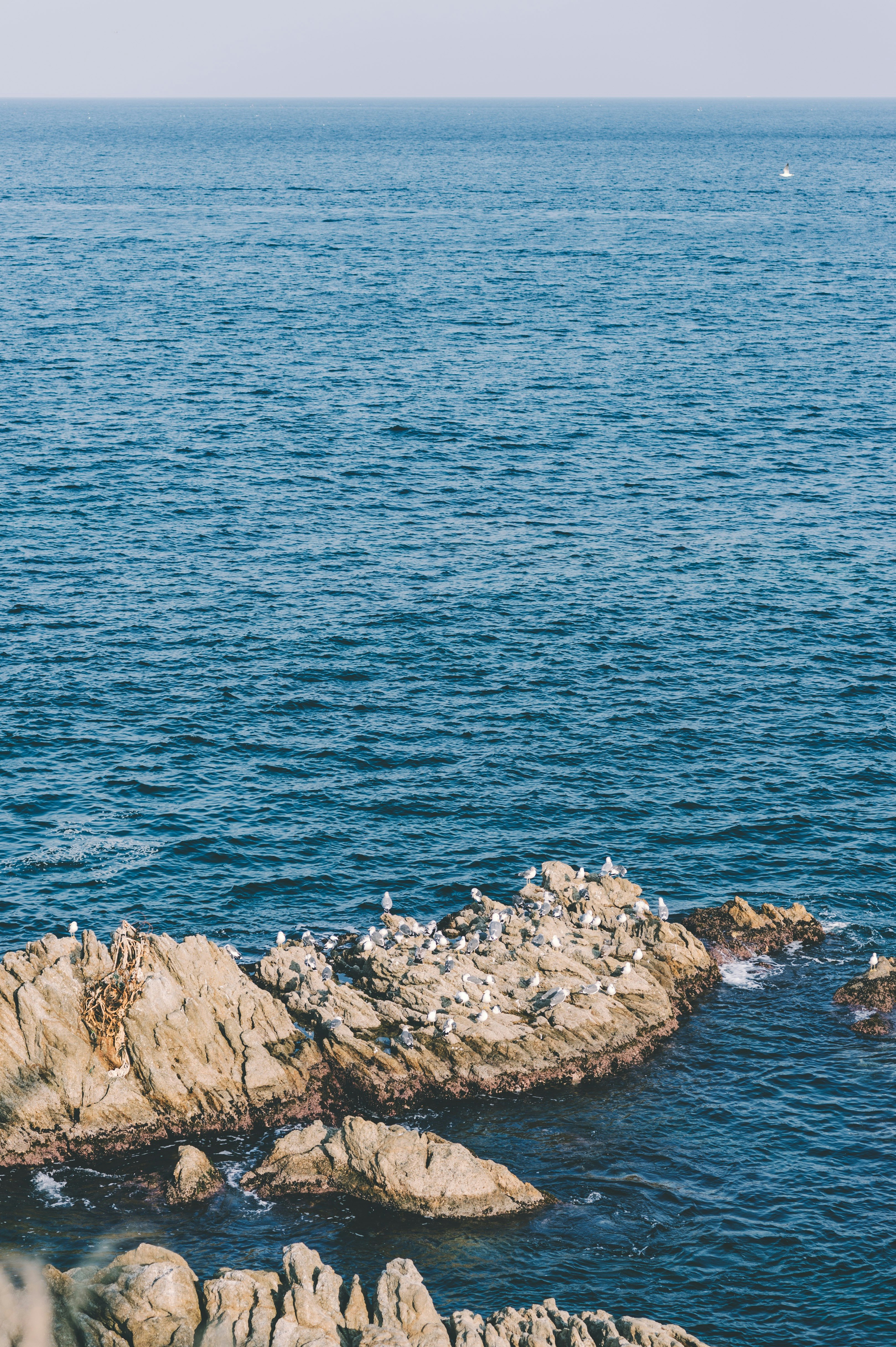 selective focus photography of rock formation in middle of body of water during daytime